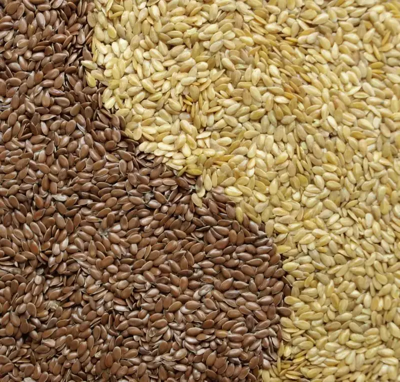Flaxseed